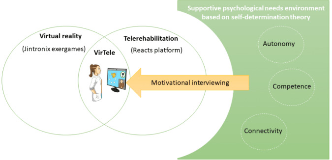 Lessons Learned From Clinicians and Stroke Survivors About Using Telerehabilitation Combined With Exergames: Multiple Case Study.