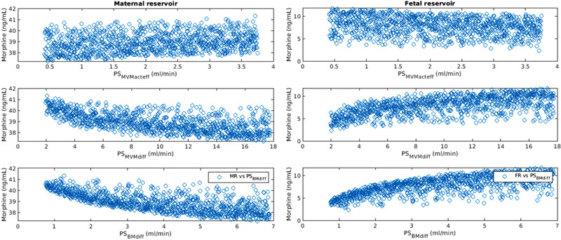 In Silico Modeling for Ex Vivo Placental Transfer of Morphine.
