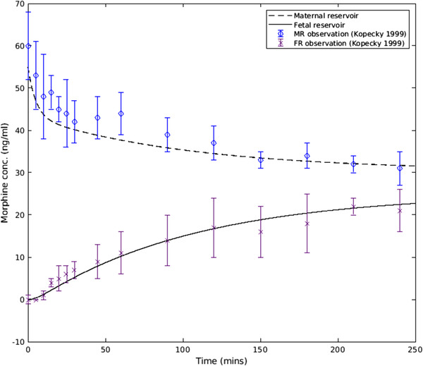 In Silico Modeling for Ex Vivo Placental Transfer of Morphine.