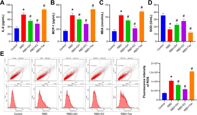 Effects of growth hormone/estrogen/androgen on COVID-19-type proinflammatory responses in normal human lung epithelial BEAS-2B cells.