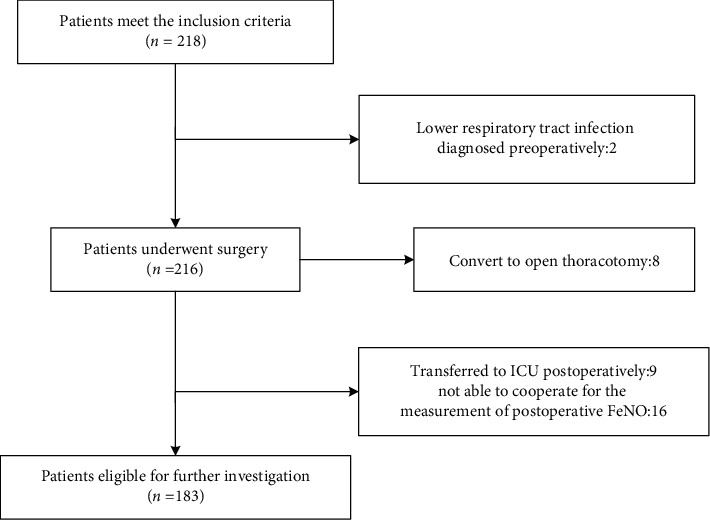 Perioperative Exhaled Nitric Oxide as an Indicator for Postoperative Pneumonia in Surgical Lung Cancer Patients: A Prospective Cohort Study Based on 183 Cases.