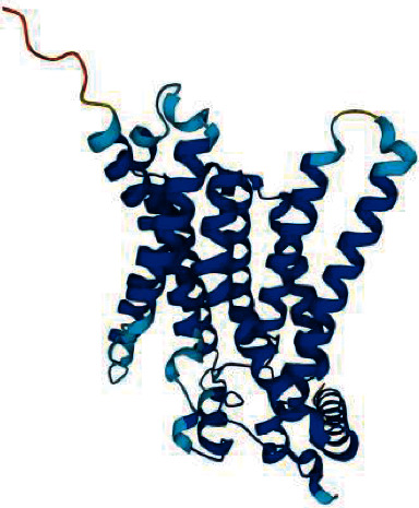 Molecular, Biochemical, and Clinical Characterization of Thirteen Patients with Glycogen Storage Disease 1a in Malaysia.