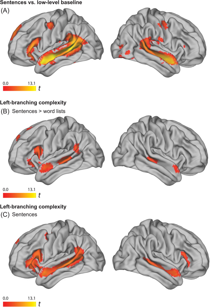 Supramodal Sentence Processing in the Human Brain: fMRI Evidence for the Influence of Syntactic Complexity in More Than 200 Participants.