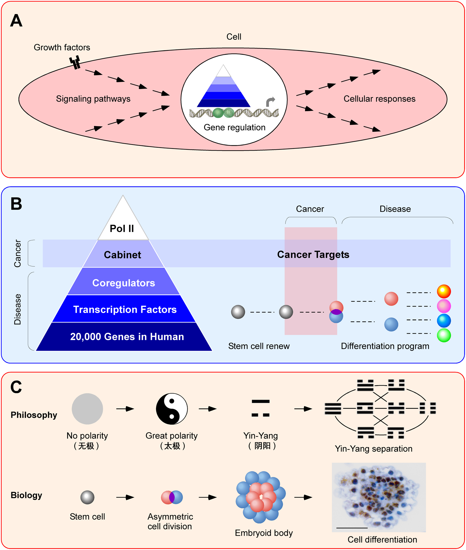 Decoding cancer and herbal renaissance.