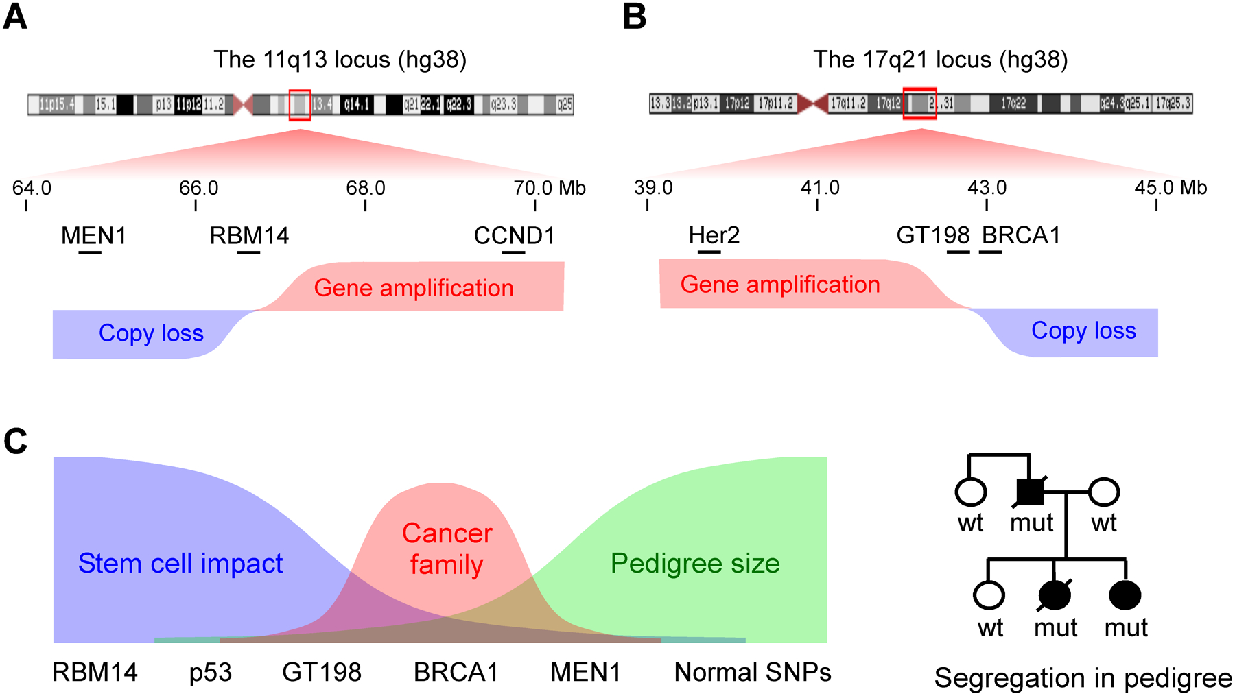 Decoding cancer and herbal renaissance.