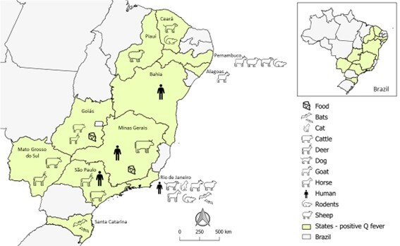 Q fever and coxiellosis in Brazil: an underestimated disease? A brief review.