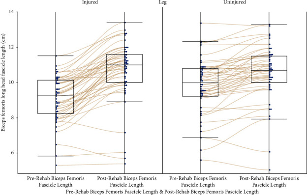 Biceps Femoris Fascicle Lengths Increase after Hamstring Injury Rehabilitation to a Greater Extent in the Injured Leg.