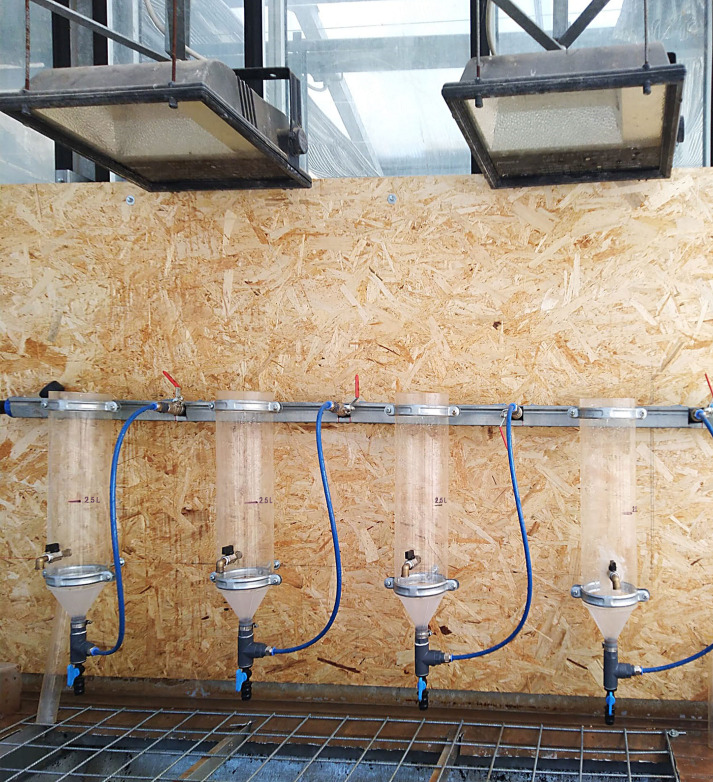 The FLOTAC basic technique as a new extraction method for root-knot nematodes (<i>Meloidogyne</i> spp.) from soil and roots.