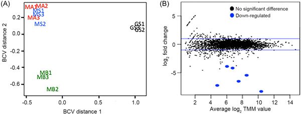 Different outer membrane <i>c</i>-type cytochromes are involved in direct interspecies electron transfer to <i>Geobacter</i> or <i>Methanosarcina</i> species.