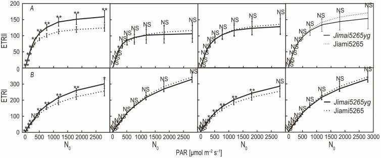 Improvement in the photoprotective capability benefits the productivity of a yellow-green wheat mutant in N-deficient conditions.