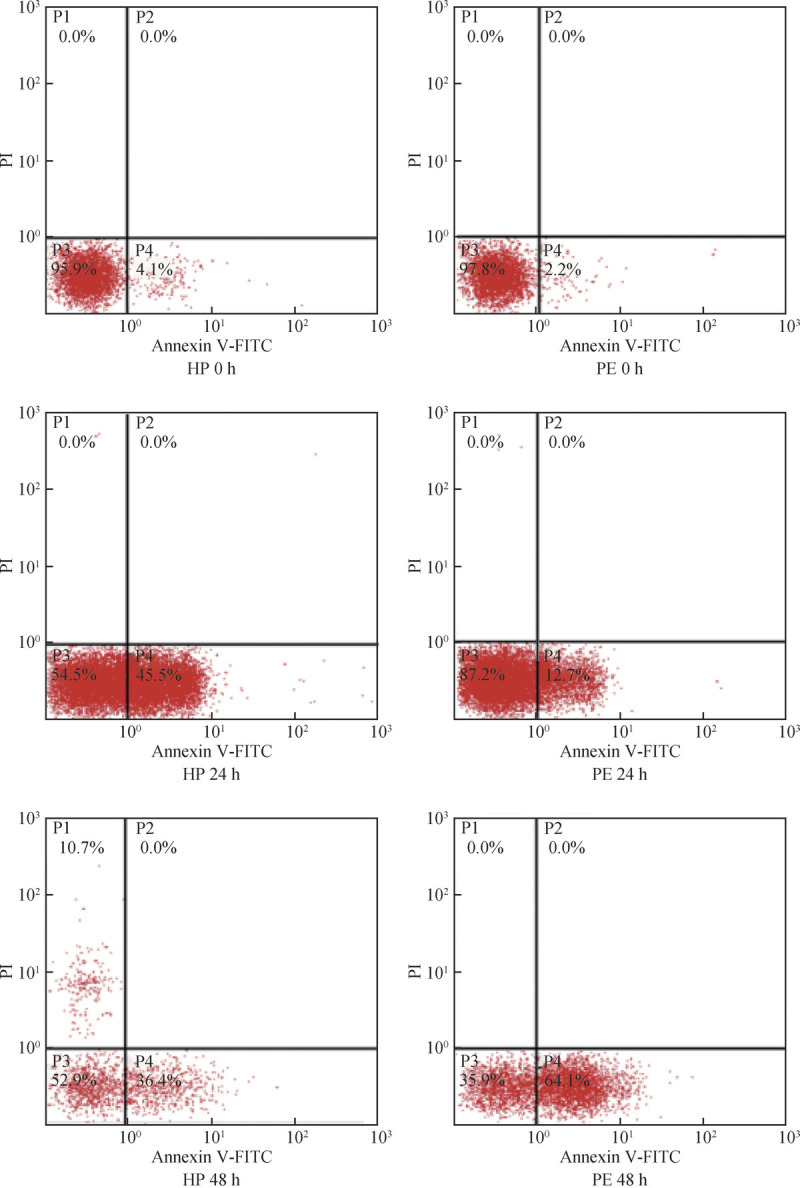 miRNA-141-5p Affects the Levels of Neutrophil Elastase in Preeclampsia by Regulating MAPK1.