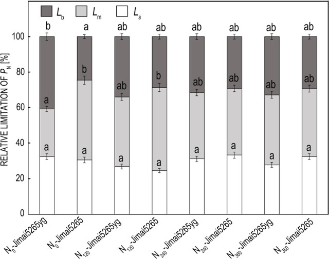 Improvement in the photoprotective capability benefits the productivity of a yellow-green wheat mutant in N-deficient conditions.