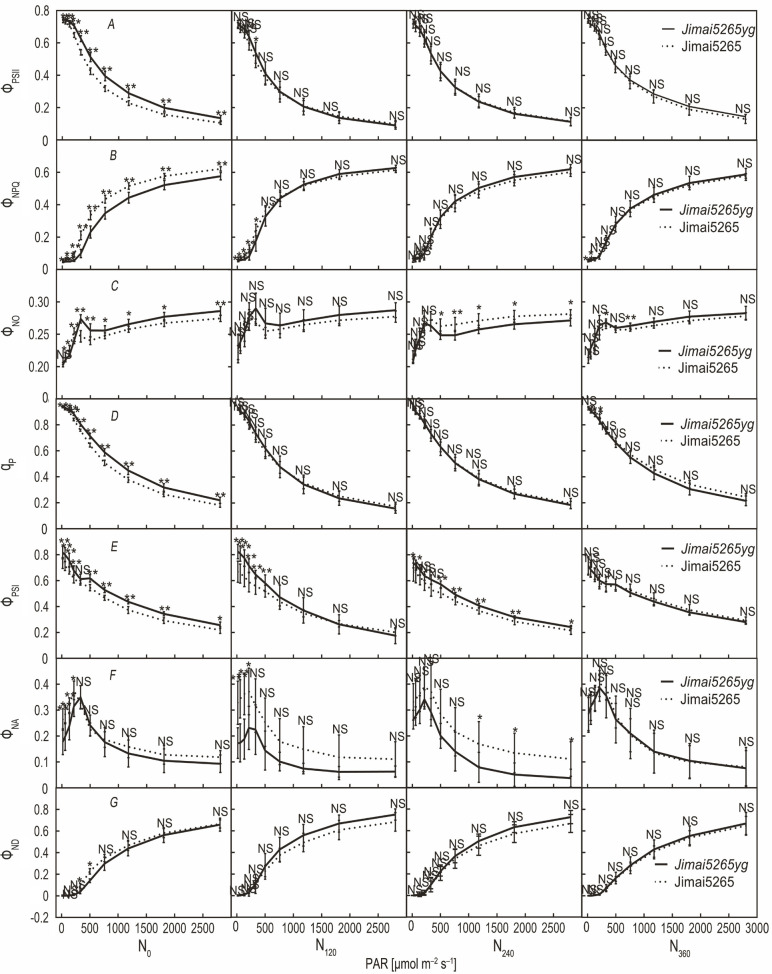 Improvement in the photoprotective capability benefits the productivity of a yellow-green wheat mutant in N-deficient conditions.