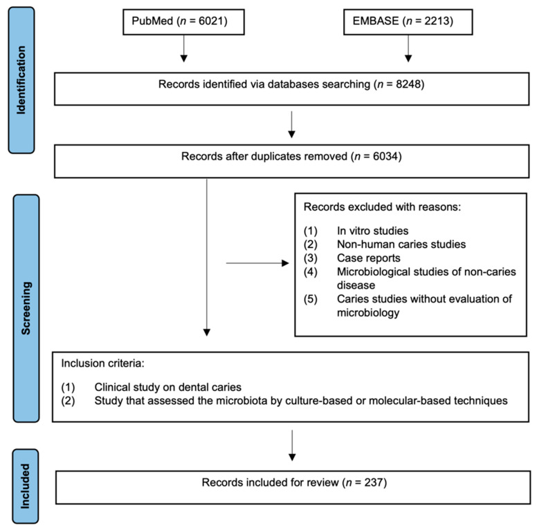 Oral Microbiome and Dental Caries Development.