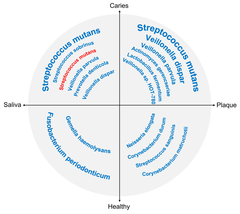 Oral Microbiome and Dental Caries Development.
