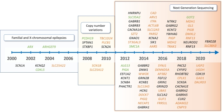 Developmental and epileptic encephalopathies - therapeutic consequences of genetic testing.