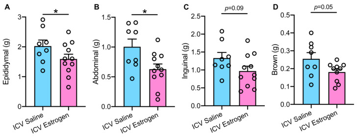 Central Feminization of Obese Male Mice Reduces Metabolic Syndrome.