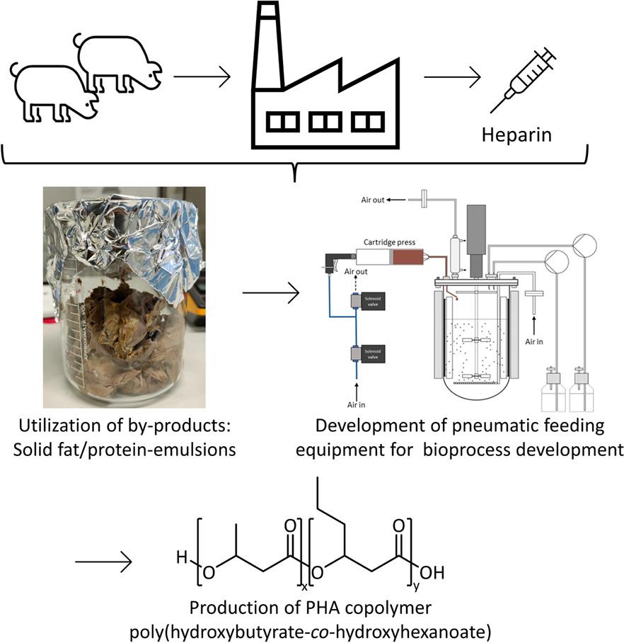 Polyhydroxyalkanoate production from animal by-products: Development of a pneumatic feeding system for solid fat/protein-emulsions