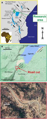 An exceptional sedimentary record of initial rifting on the East African Plateau in the Miocene: Lessons from depositional cyclicity and palaeoenvironmental proxies