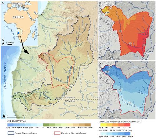 Spatial variations in sediment production and surface transformations in subtropical fluvial basins (Caculuvar River, south-west Angola): Implications for the composition of sedimentary deposits