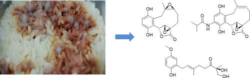 Novel geranylhydroquinone derived meroterpenoids from the fungus Clitocybe clavipes and their cytotoxic activity