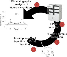 Dopaminergic metabolism is affected by intracerebral injection of Tb II-I isolated from Tityus bahiensis scorpion venom