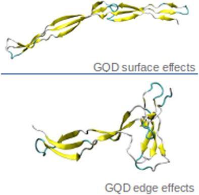 Mechanical loading of graphene quantum dots on Staphylococcus aureus surface protein G: A molecular dynamics study