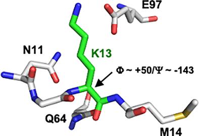 Energetically unfavorable protein angles: Exploration of a conserved dihedral angle in triosephosphate isomerase