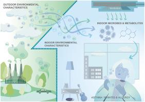 Indoor microbiome and allergic diseases: From theoretical advances to prevention strategies