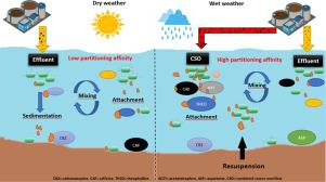 Occurrence and partitioning behavior of E. coli and wastewater micropollutants following rainfall events