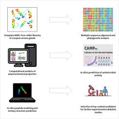 Identification and characterization of new putative antimicrobial peptides from scorpion Chaerilus tricostatus revealed by in silico analysis and structure modeling