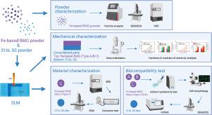 Effects of Various Processing Parameters on Mechanical Properties and Biocompatibility of Fe-based Bulk Metallic Glass Processed via Selective Laser Melting at Constant Energy Density