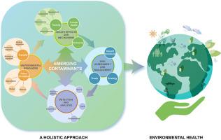 Roadmap of environmental health research on emerging contaminants: Inspiration from the studies on engineered nanomaterials