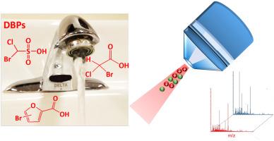 Monthly variations of unregulated brominated disinfection by-products in chlorinated water are correlated with total bromine