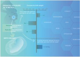 Prenatal metal mixture exposure and birth weight: A two-stage analysis in two prospective cohort studies