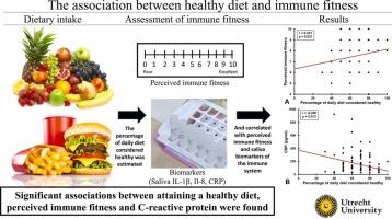 A healthier daily diet is associated with greater immune fitness