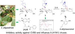 Antiviral spirooliganones C and D with a unique spiro[bicyclo[2.2.2]octane-2,2′-bicyclo[3.1.0]hexane] carbon skeleton from the roots of Illicium oligandrum