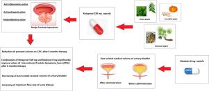 A Prospective, Observational Study of Use Combination Silodosin 8 mg Plus Serenoa Repens, Urtica Dioica, Cucurbita Pepo (Rotaprost) Compared With Silodosin 8 mg Alone in Treatment Patients with Benign Prostate Hyperplasia