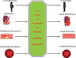 A Review of the Effects of Policosanol on Metabolic Syndrome