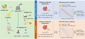 Anaerobic digestion as a core process for sustainable energy production in the soybean biorefinery: A techno‐economic assessment