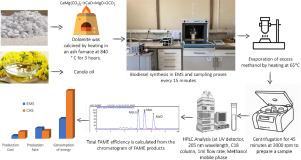 Fast, High Quality and Low-Cost Biodiesel Production using Dolomite Catalyst in an Enhanced Microwave System with Simultaneous Cooling