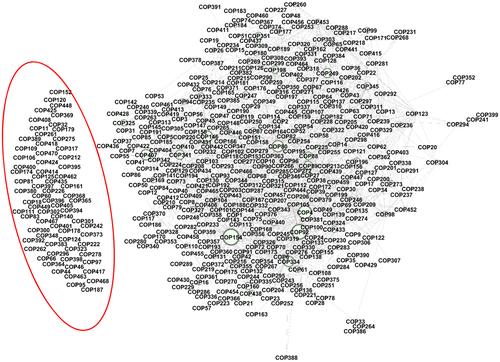 The Structure of Social and Environmental Accounting Research: A Citation-Based Social Network Analysis*