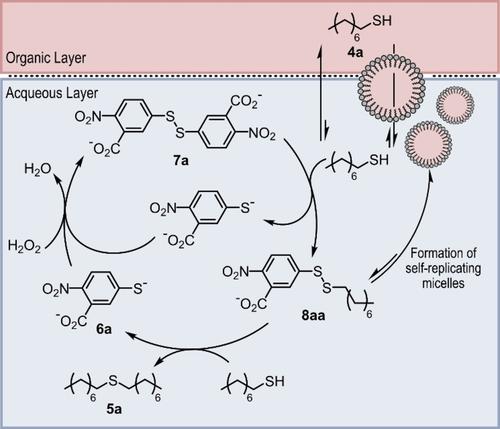 Dissipative Dynamic Libraries (DDLs) and Dissipative Dynamic Combinatorial Chemistry (DDCC)