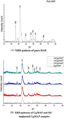 Enhancement of bioactivity of collagen–hydroxyapatite nanocomposite on He+ ion implantation