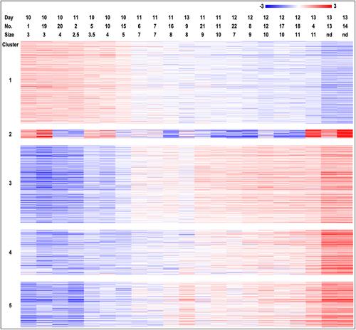 Dynamic regulation of the transcriptome and proteome of the equine embryo during maternal recognition of pregnancy