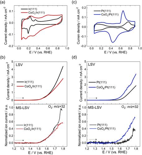 Surface microstructures and oxygen evolution properties of cobalt oxide deposited on Ir(111) and Pt(111) single crystal substrates