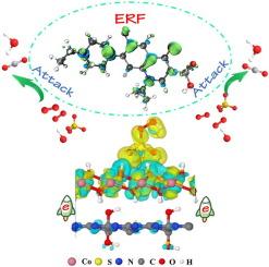 Promoting charge migration of Co(OH)2/g-C3N4 by hydroxylation for improved PMS activation: Catalyst design, DFT calculation and mechanism analysis