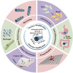 Functionally modified halloysite nanotubes for personalized bioapplications