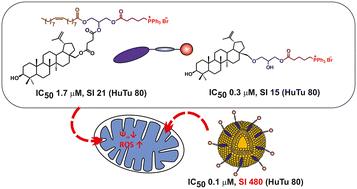 Novel triphenylphosphonium amphiphilic conjugates of glycerolipid type: synthesis, cytotoxic and antibacterial activity, and targeted cancer cell delivery†