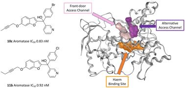 Pyridine based dual binding site aromatase (CYP19A1) inhibitors†